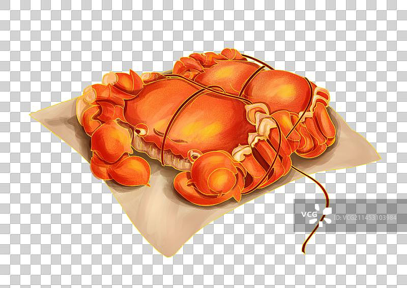 秋天肥美大闸蟹图片素材