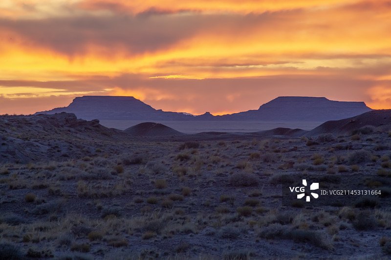 美国化石树国家公园图片素材