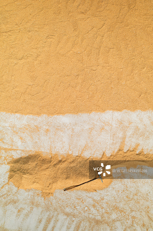 晒稻谷图片素材