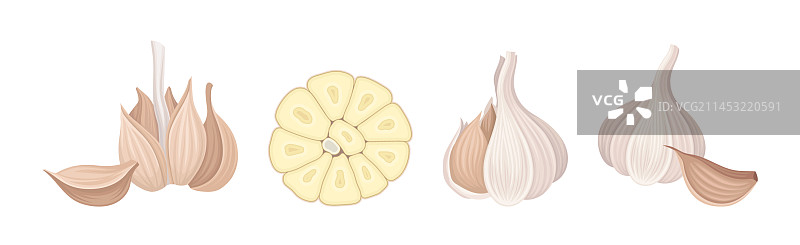 用作健康调味品的大蒜图片素材