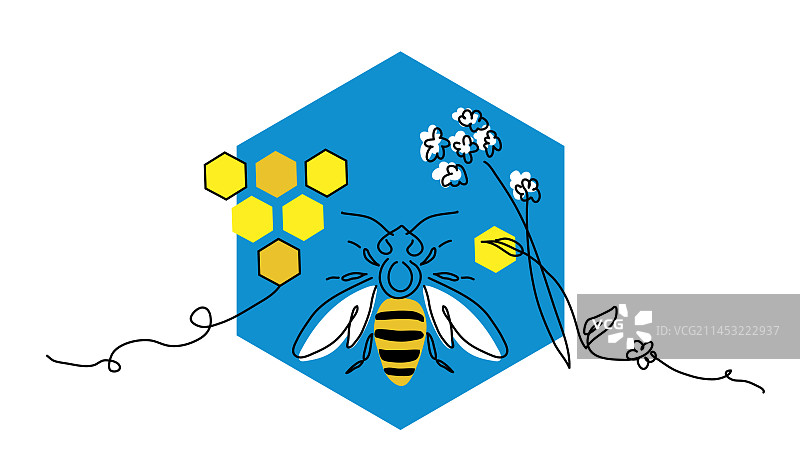 蓝色六边形中的蜜蜂、蜂蜜、蜂巢和花朵图片素材