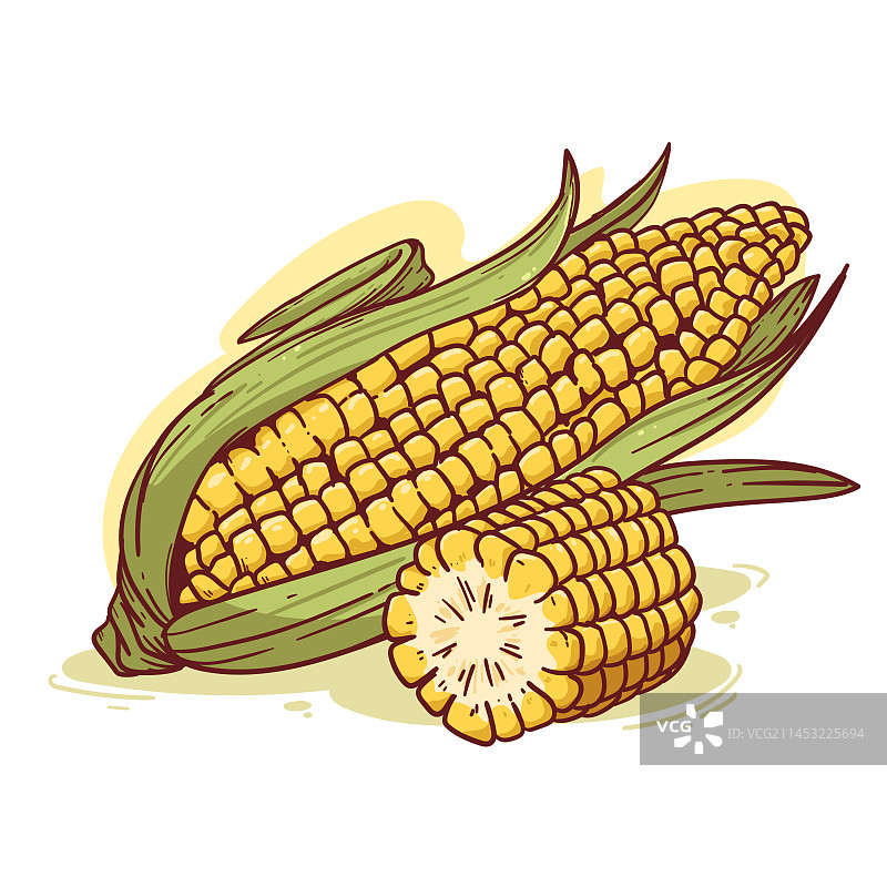 手绘玉米棒简笔画图片素材