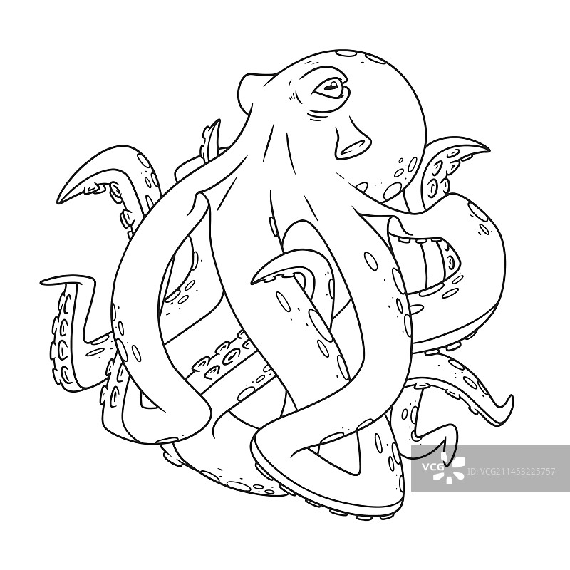 手绘章鱼轮廓图片素材