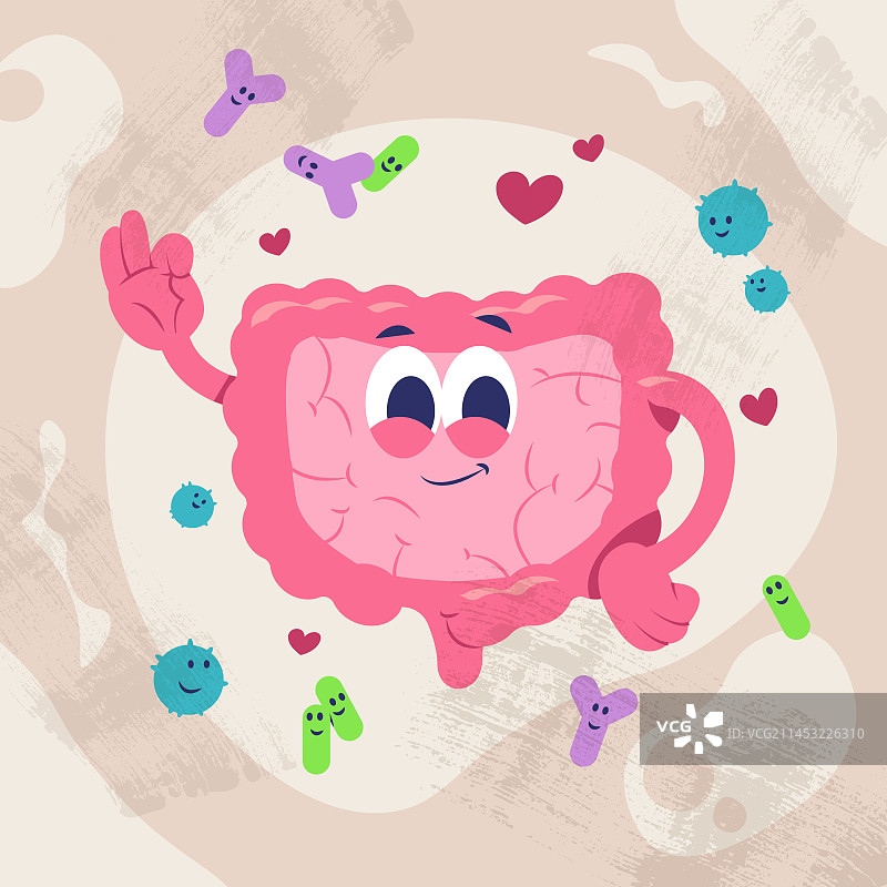手绘肠道健康图片素材