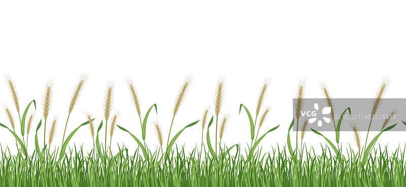 黑麦田无缝边框小麦图案图片素材