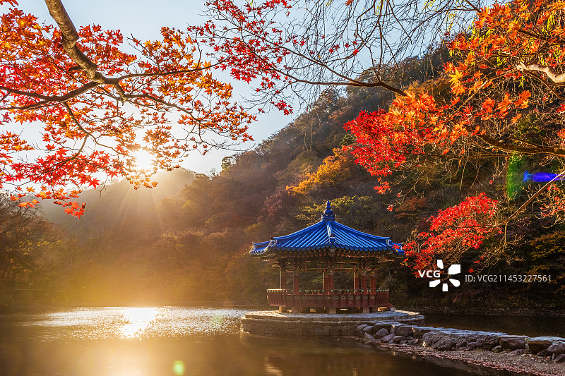 羽化亭秋色图片素材