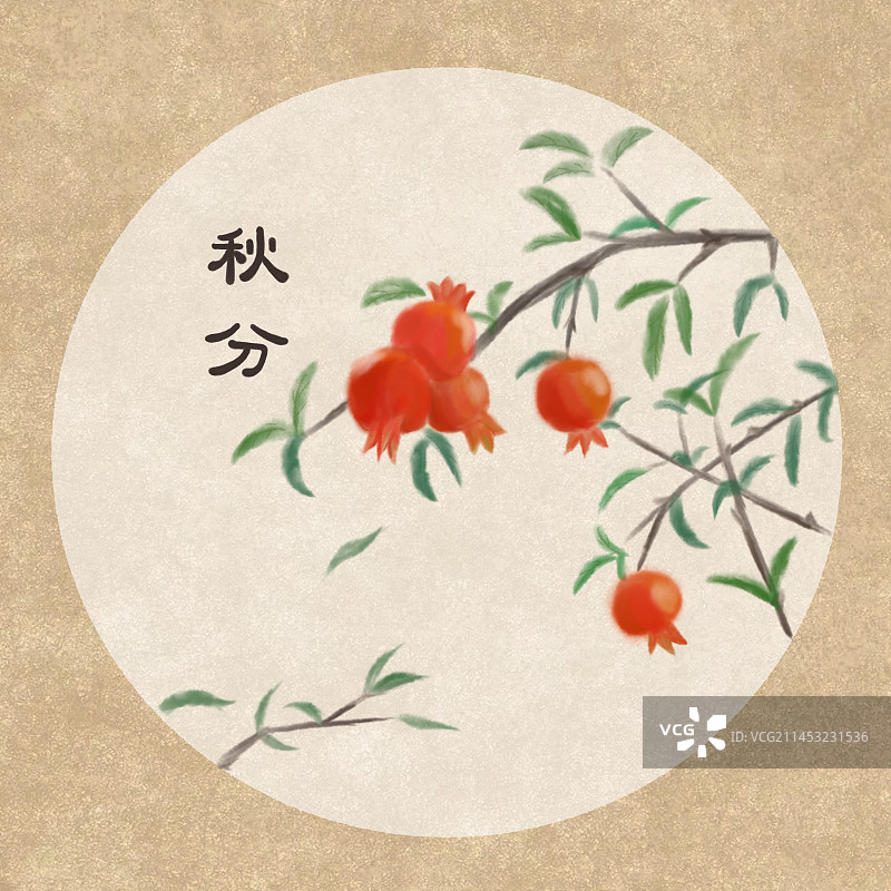 石榴秋分图片素材