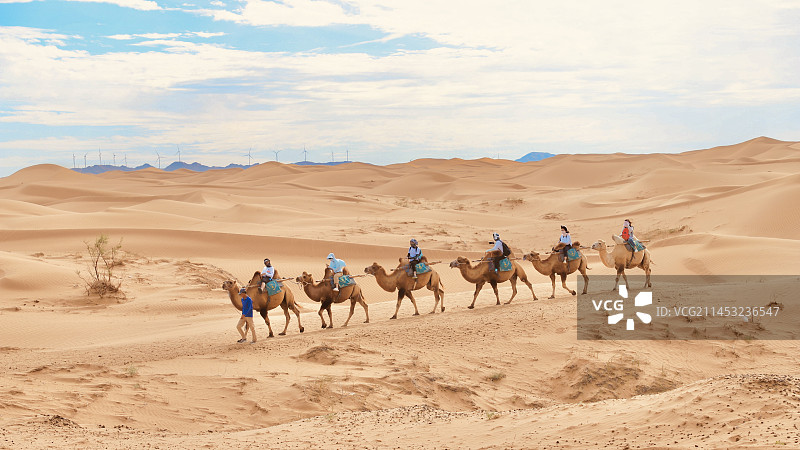 腾格里沙漠中的骆驼图片素材