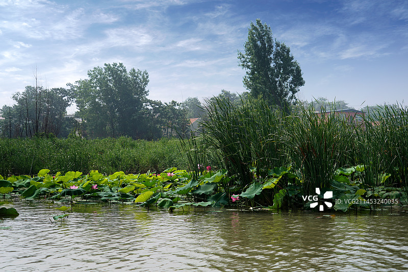 山东省济宁市微山岛风光图片素材