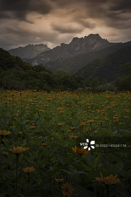 官鹅沟风景图片素材