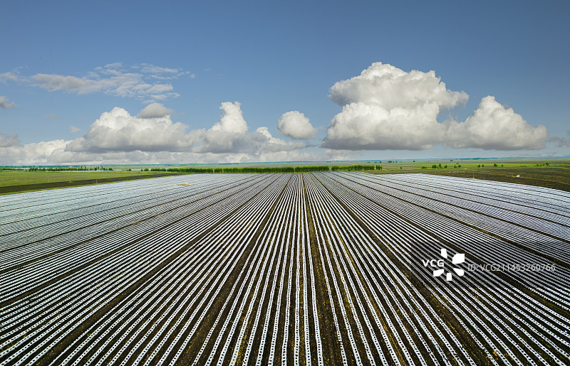 航拍富锦三江平原覆膜大地图片素材