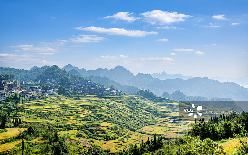 贵州丹寨县的梯田图片素材