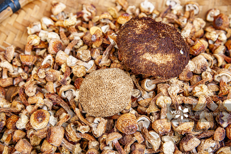 贵州省黔东南苗族侗族自治州黎平县肇兴侗寨房前晾晒蘑菇图片素材