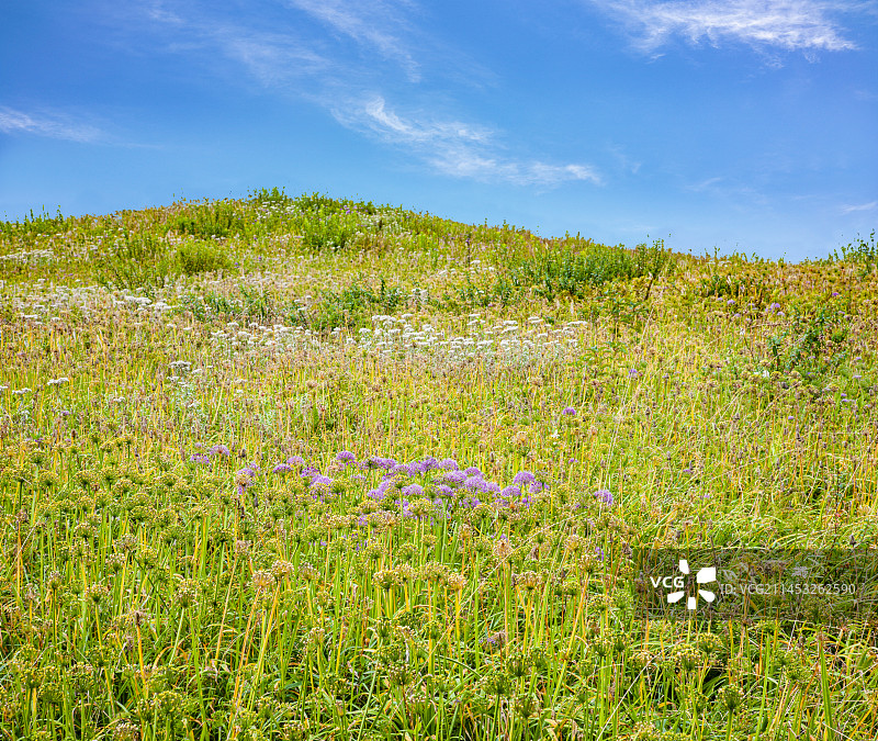 贵州省毕节市赫章县阿西里西韭菜坪图片素材
