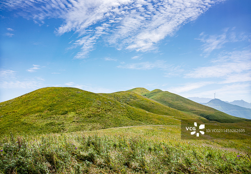 贵州省毕节市赫章县阿西里西韭菜坪图片素材