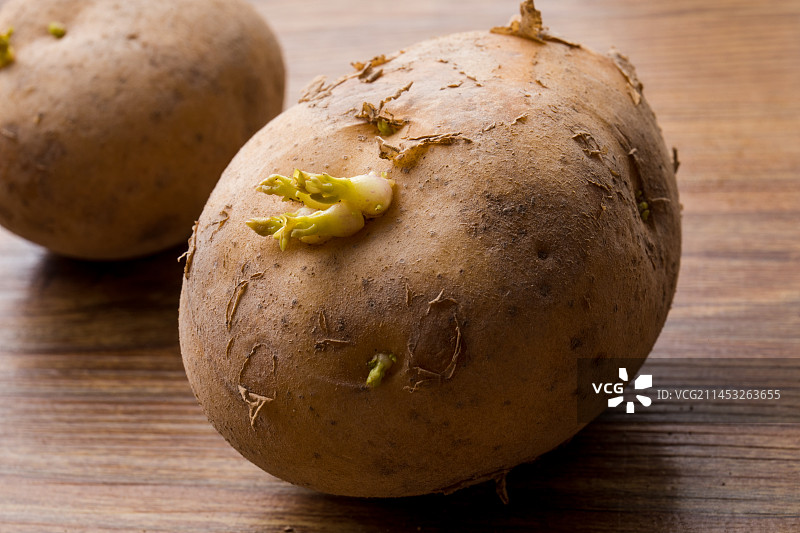桌面上发芽的土豆特写图片素材