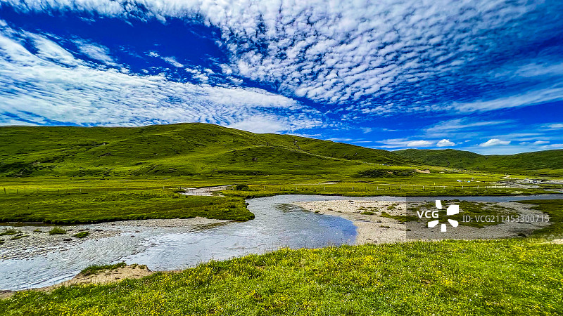 红原俄么塘花海图片素材