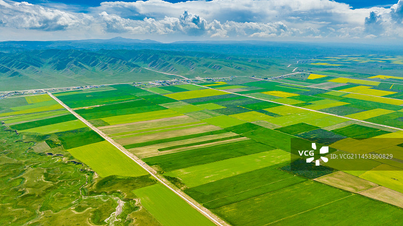 青海湖油菜花图片素材