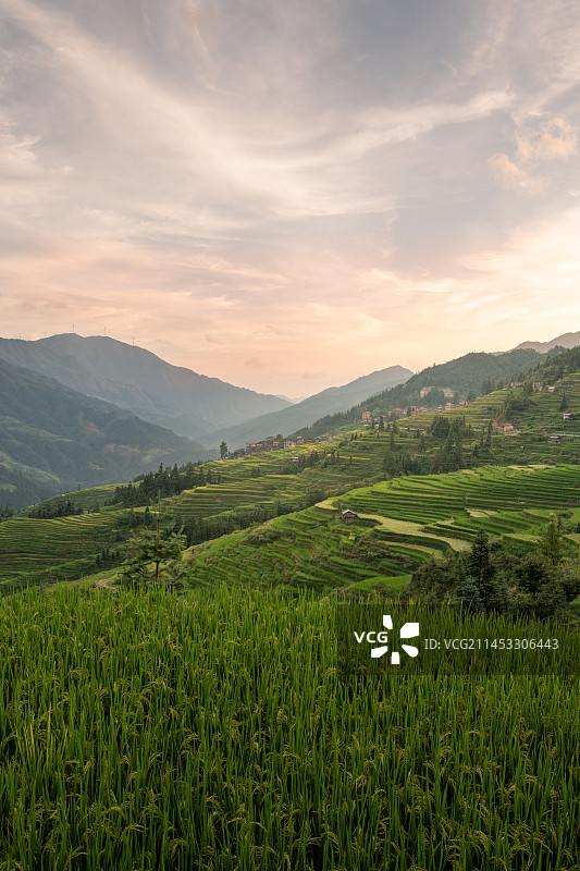 贵州黔东南加榜梯田自然风光图片素材