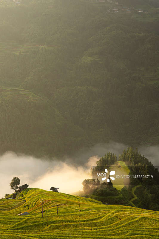 贵州加榜梯田日出云海自然风光图片素材