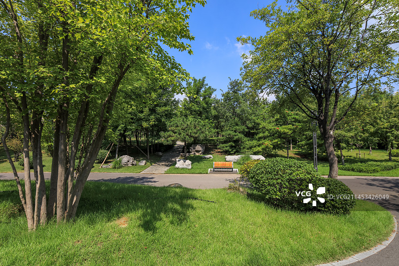 中国山东淄博张店区齐盛湖公园夏日风景图片素材