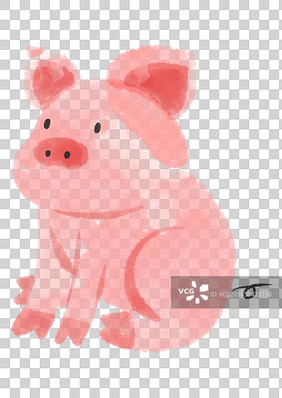 宠物小香猪图片素材