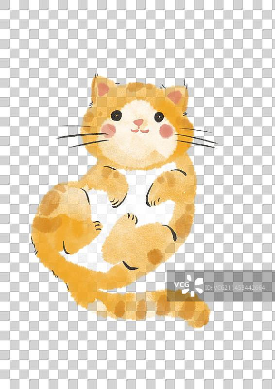 宠物猫插画元素图片素材