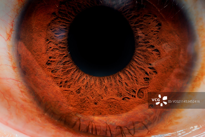 眼睛特写图片素材