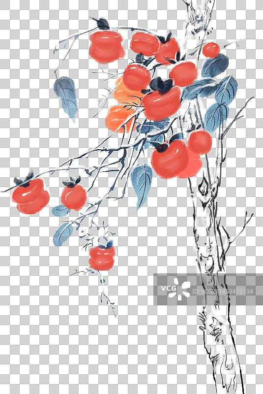 水墨的植物柿子图片素材