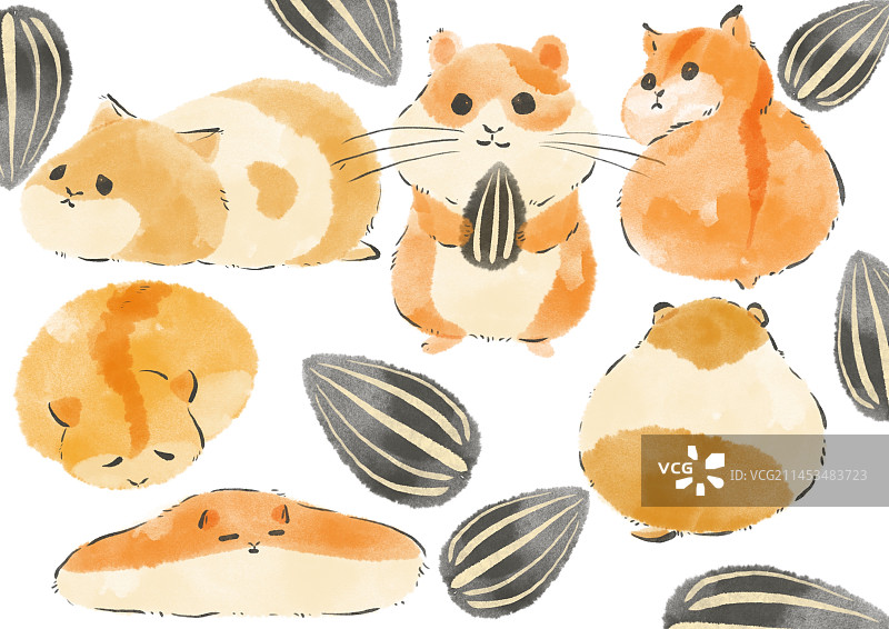 宠物仓鼠图片素材