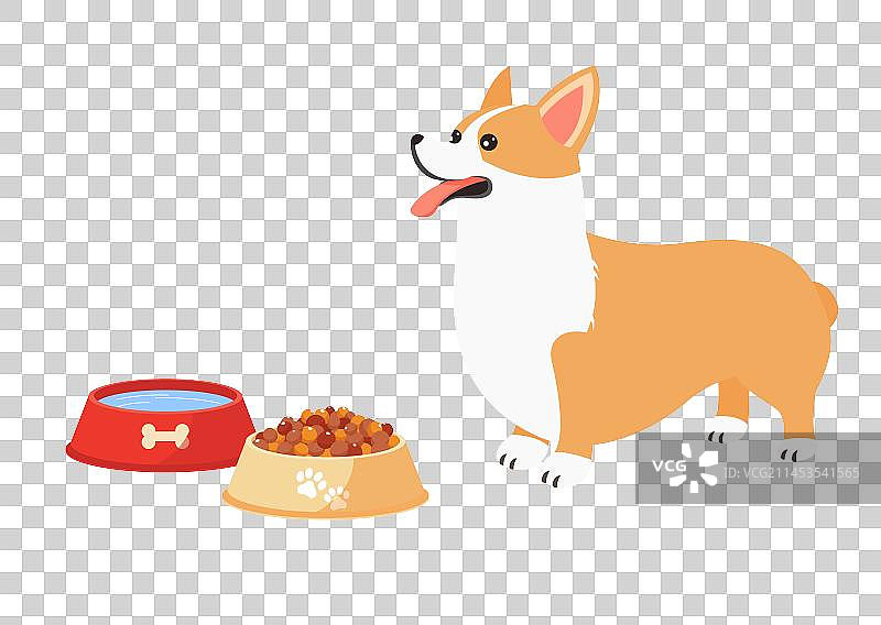 宠物狗可爱汪星人插画图片素材