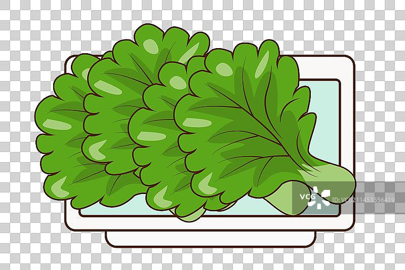 青菜插画元素图片素材