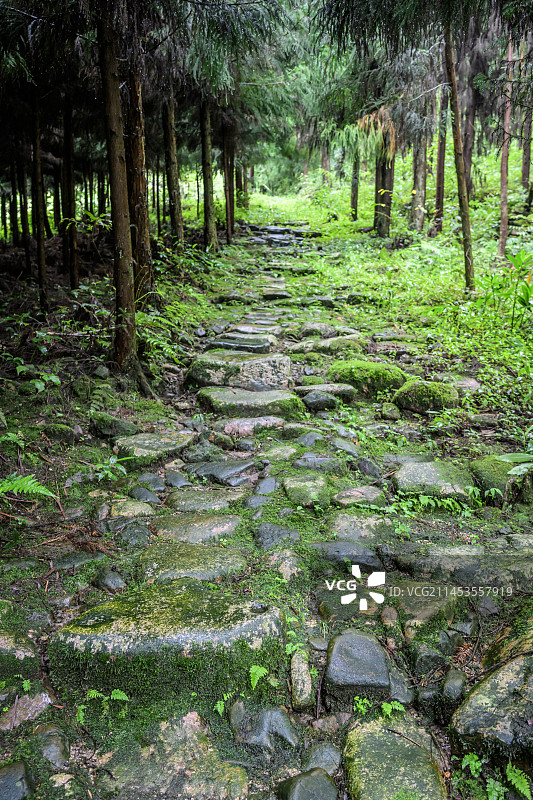 四川省文物保护单位大相岭古道遗址荥经茶马古道原始石板路石头路图片素材