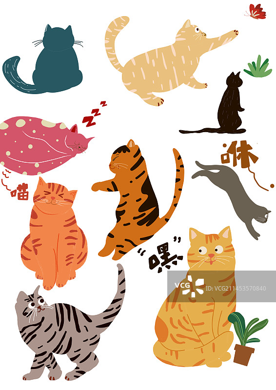 猫咪日志图片素材