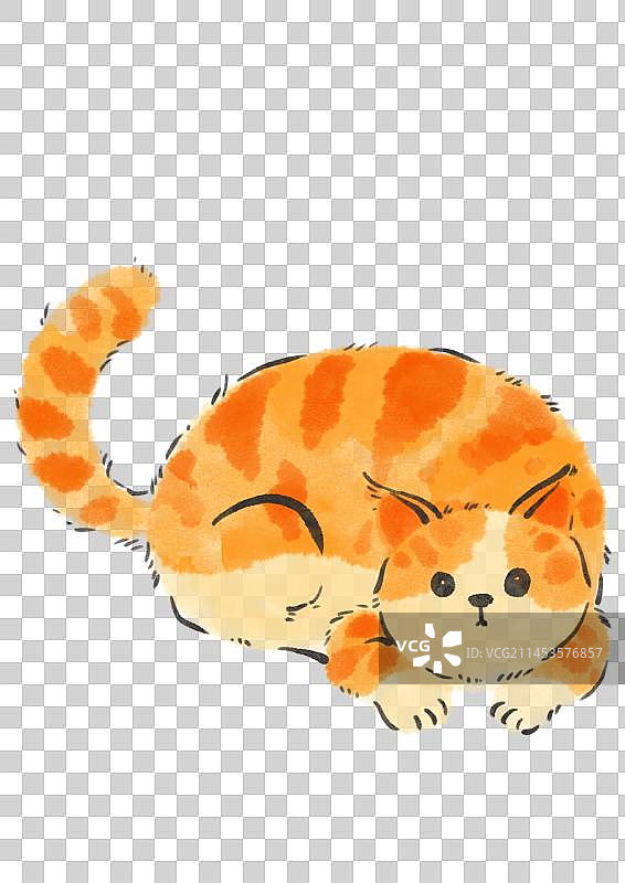 橘猫元素图片素材