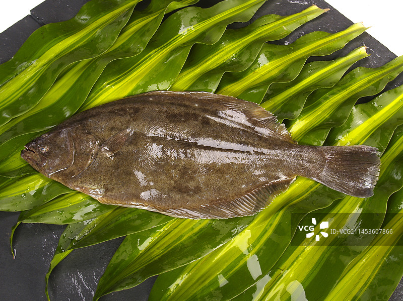 生鲜牙片鱼图片素材