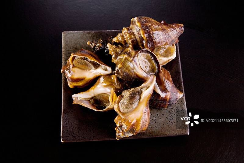 生鲜海螺图片素材