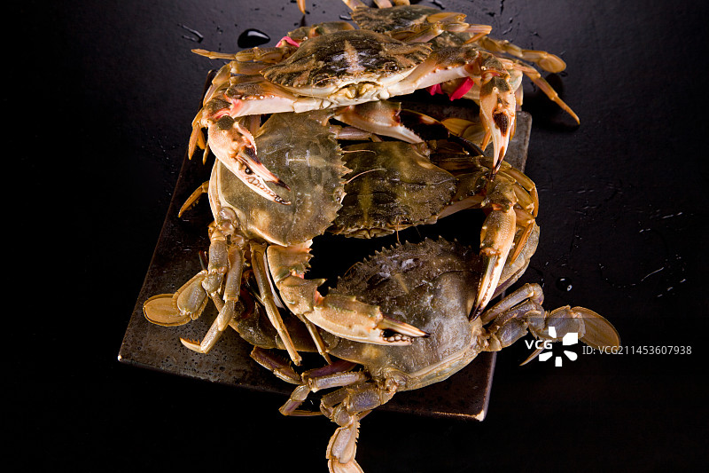 生鲜大海蟹图片素材