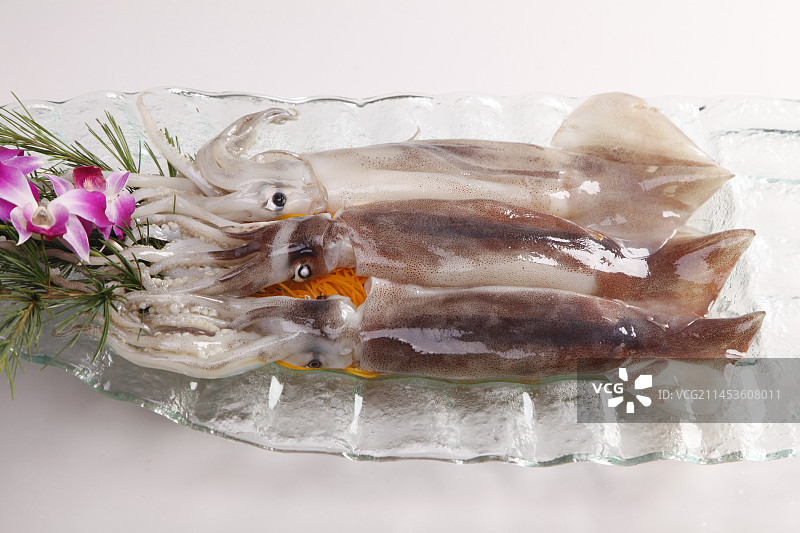 生鲜笔管鱼图片素材