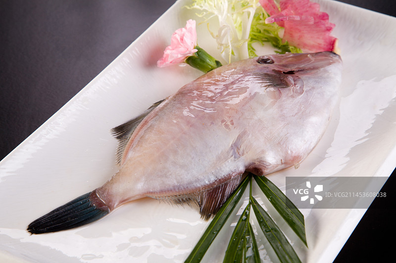 生鲜马面鱼图片素材