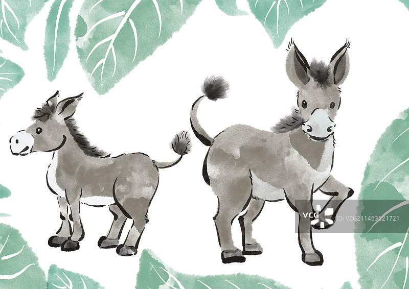 驴插画图片素材