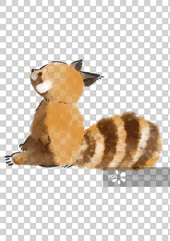 小熊猫插画元素图片素材