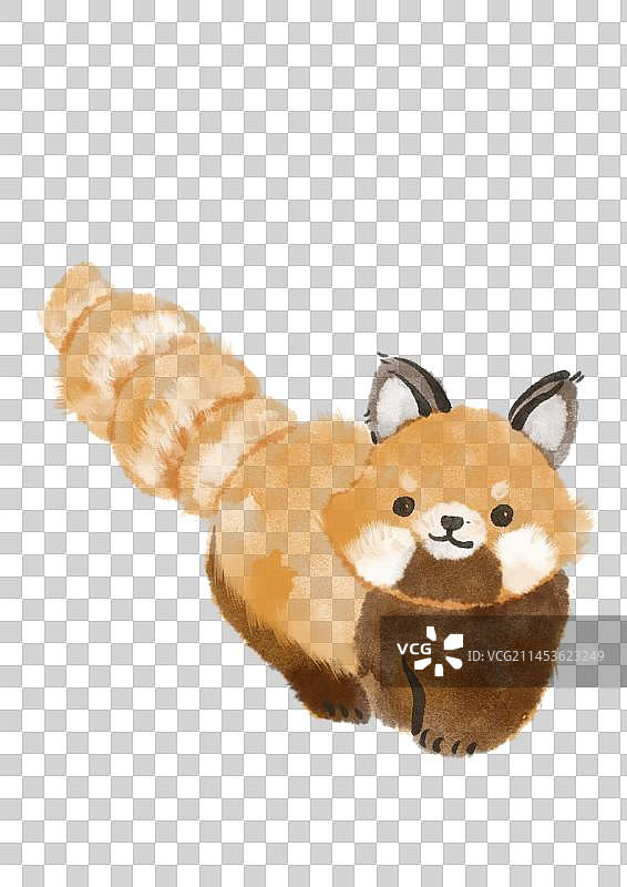 小熊猫插画元素图片素材