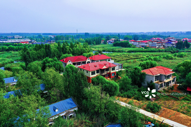 华北明珠美如画 烟波浩渺大氧吧 旭日东升七色光 鱼舟天边送晚霞 鸟语欢歌雁鹭飞 金秋斑斓遍荷花 画图片素材