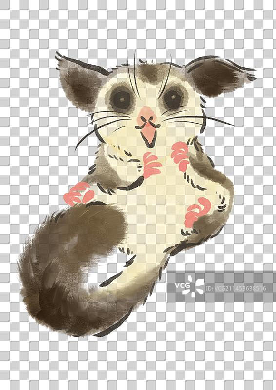 蜜袋鼬插画元素图片素材