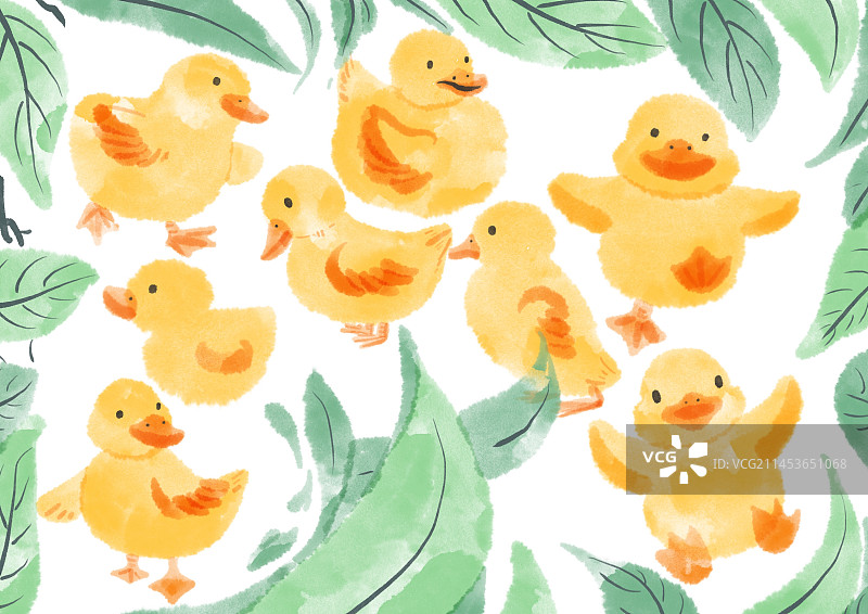 可爱小鸭子图片素材