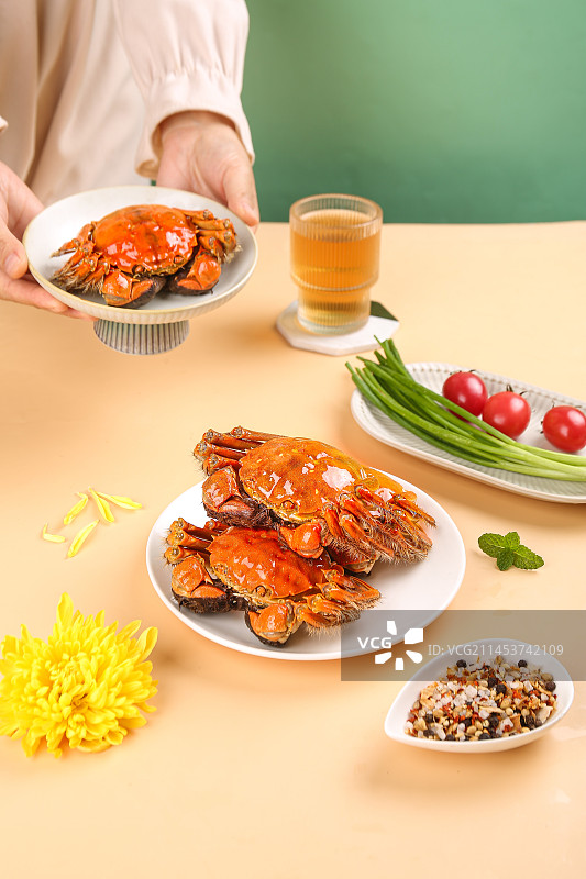 浅底上的大闸蟹图片素材