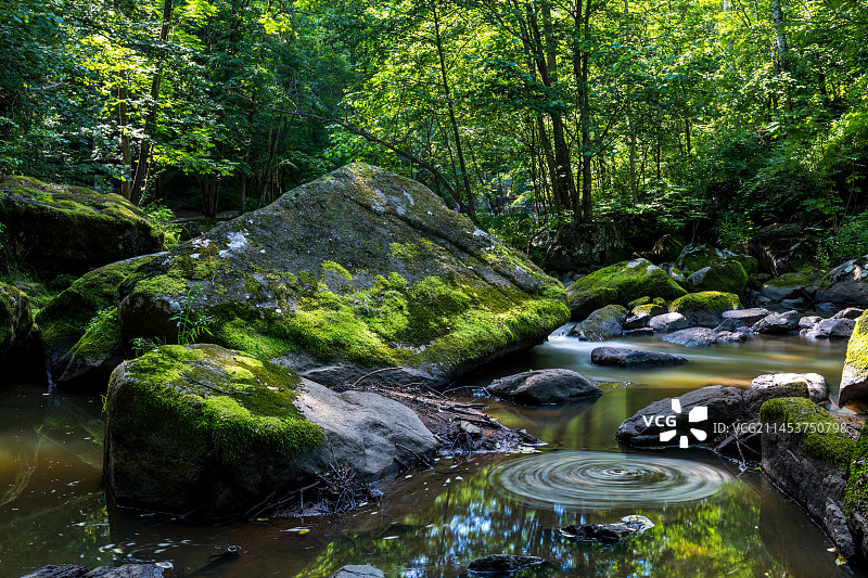 水中转成圈的花瓣图片素材