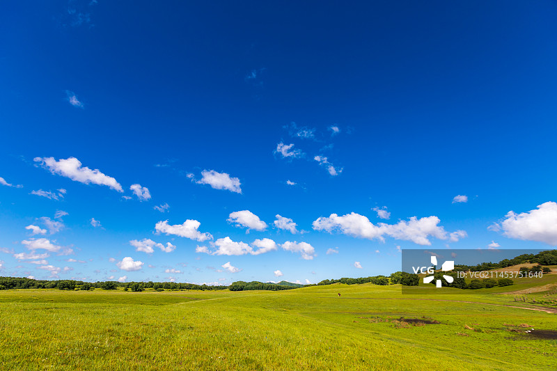 内蒙古乌兰布统大草原图片素材