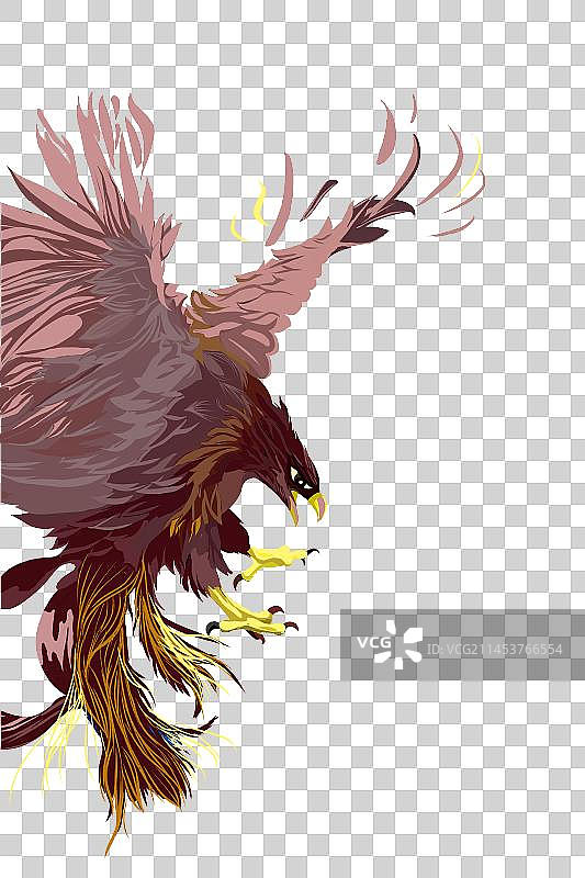 动物老鹰手绘卡通插画图片素材